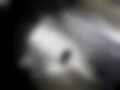 Pictures — Mikra 1.0