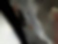 Pictures — Swift 1.3 (Japan) EZ