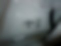 Pictures — Koleos 2.5