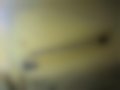 Pictures — 432D