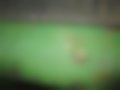 Pictures — 3350