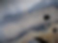 Pictures — D 75 L