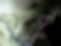Pictures — Evanda 2.0