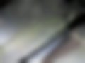 Slike — Steyr 13 S 21 4x4