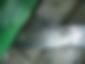 Bilder — Zubrenok
