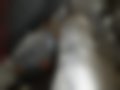 Pictures — Tipo 1.4
