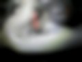 Pictures — Q5