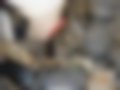 Pictures — Range Rover 5.0 V8