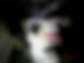 Bilder — Jumpy 1.6 Blue HDi