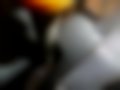 Pictures — Kalos  1.4