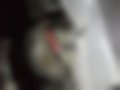 Pictures — S 350