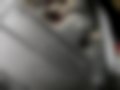 Pictures — CBR600RR