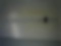 Pictures — Maxus EV80