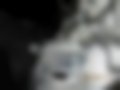 Pictures — C 180