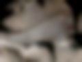 Pictures — Cinquecento 0.9