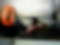 Pictures — Indica