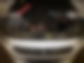 Pictures — Corsa e