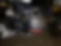 Pictures — R12 Ninet