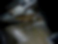 Слике — X1 1.5