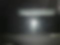 Immagini — Model Y