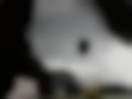 Pictures — Super 8 125