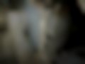 Pictures — Avensis 1.6