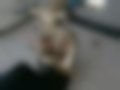 Pictures — E-Jewel