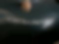 Pictures — Fusion 1.4
