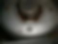 Képek — Tempra 1.6 IE