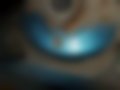 Immagini — Tipo 1.4