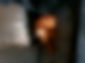 Immagini — 323F 1.5i