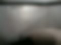 Immagini — 323F 1.5i