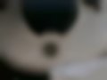 Pictures — Marea 1.9 JTD