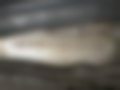 Pictures — 300 E