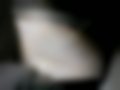Pictures — 146 1.4