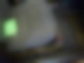 Pictures — Escort V 1.3