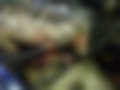 Pictures — Escort V 1.3
