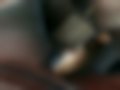 Pictures — 348 TS