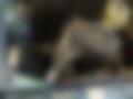 Pictures — Uno 0.9