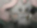 Galeria — Quattroporte V 4.2