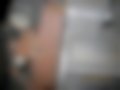 Pictures — Primera 1.6