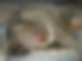 Pictures — R19 1.4
