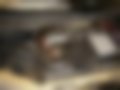 Pictures — H1 Panorama