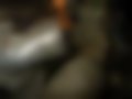 Pictures — Xsara 1.4 SX