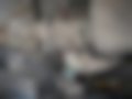 Pictures — Panda 1.1