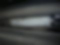 Immagini — Forenza 2.0