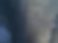 Pictures — 80 1.6 D