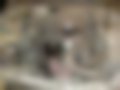 Pictures — Pony 1.3