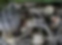 Pictures — 353 1.3 Tourist