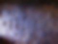 Pictures — 353 1.3 Tourist